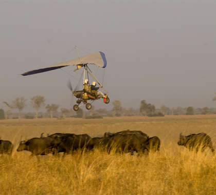 Thrilling microlight flights over the national park take off in the soft light of dawn.