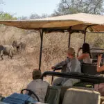Game drives are a highlight. 