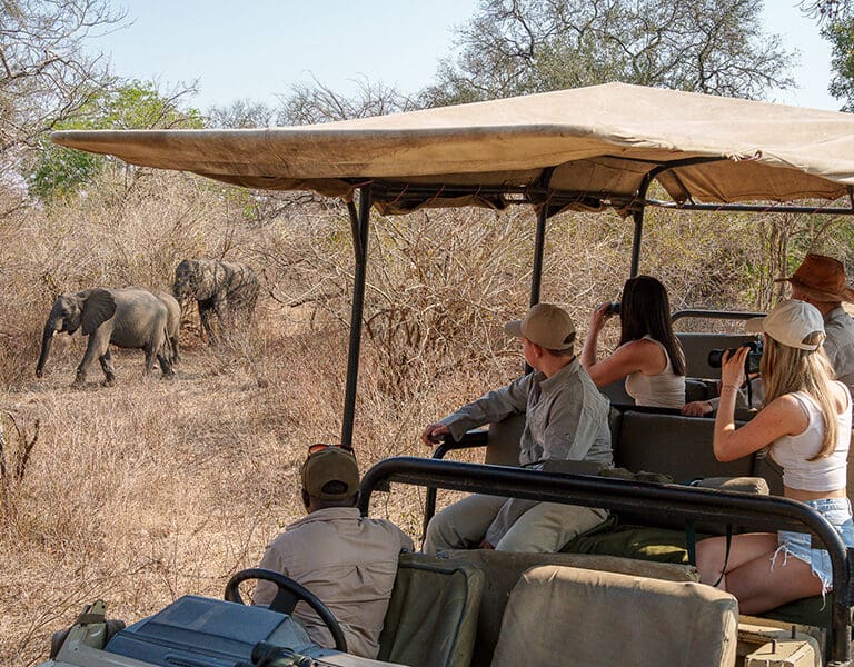 Game drives are a highlight. 