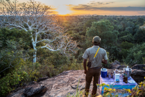 Enjoy sundowners in the wild. 
