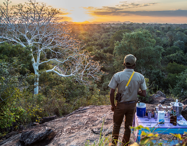 Enjoy sundowners in the wild. 