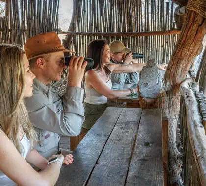 Wildlife viewing from the camp. 