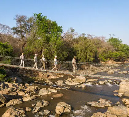 Get across the river by the foot bridge. 