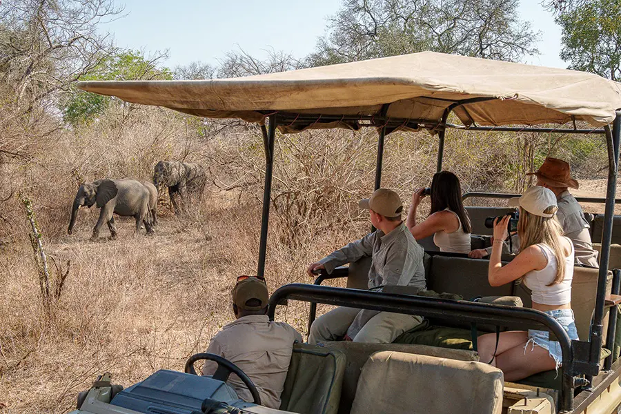 Game drives in Majete Reserve. 