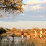 En la Selinda Canoe Trail de Botsuana también podrá disfrutar de safaris a pie.