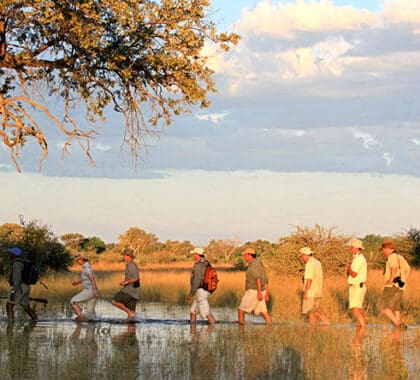 En la Selinda Canoe Trail de Botsuana también podrá disfrutar de safaris a pie.