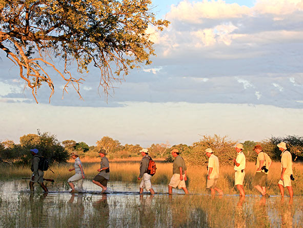 On Botswana's Selinda Canoe Trail you'll enjoy walking safaris too.