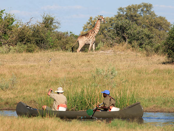 Explore the remote Selinda Spillway by canoe from the comfort of your mobile camp.