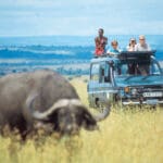 En los safaris móviles se utilizan 4x4 con techo abierto, ideales para la observación de animales.