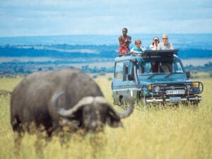 En los safaris móviles se utilizan 4x4 con techo abierto, ideales para la observación de animales.