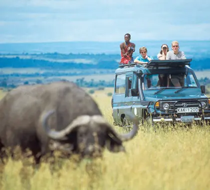 En los safaris móviles se utilizan 4x4 con techo abierto, ideales para la observación de animales.