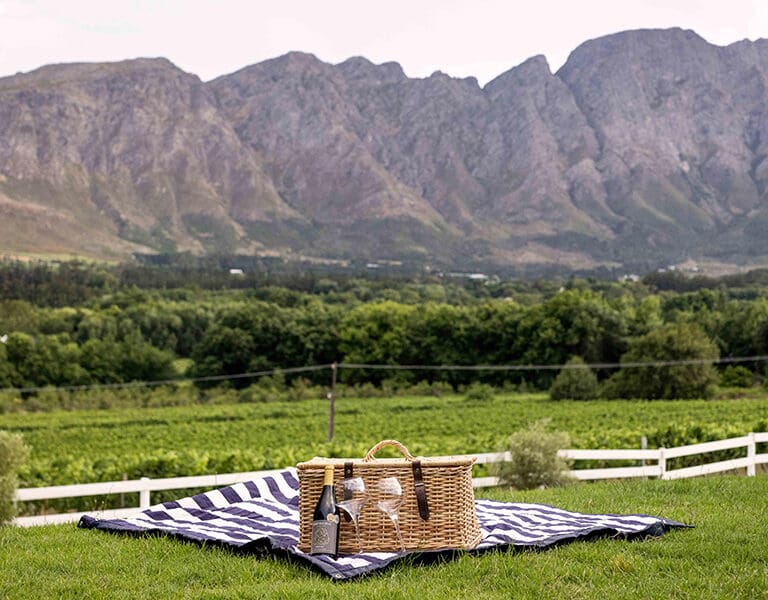 Enjoy a gourmet picnic in the vineyard. 