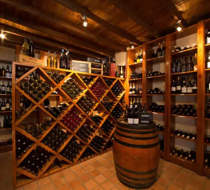 Seleccione un vino para acompañar la cena. 