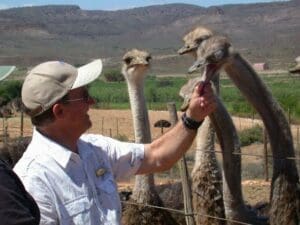 Conozca a los lugareños en esta fantástica granja de trabajo en el Karoo.