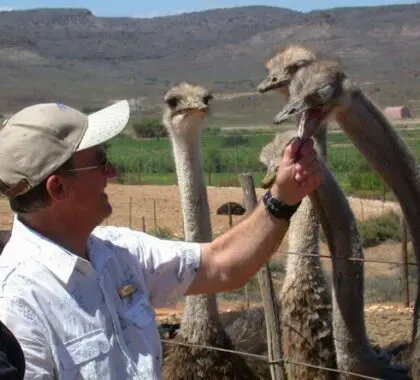 Meet the locals on this fantastic working farm house in the Karoo.
