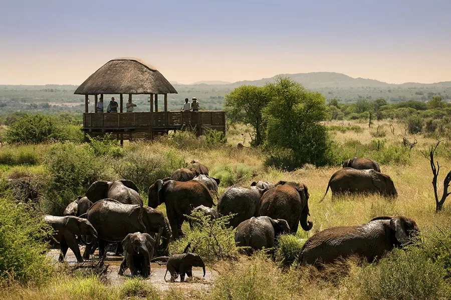 Morukuru-Granja----Madikwe-Ocultar