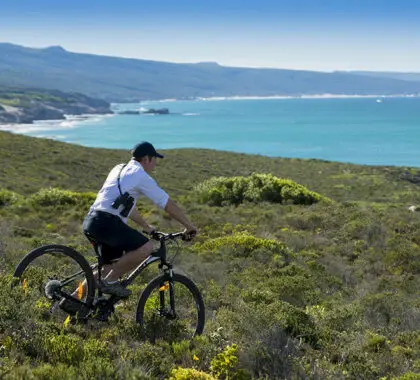 Ciclismo de montaña.
