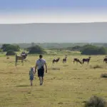 Esplorate la riserva a piedi.