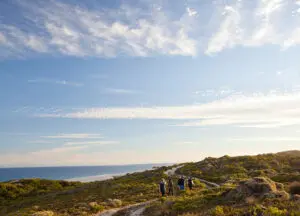 morukuru-ocean-house-fynbos
