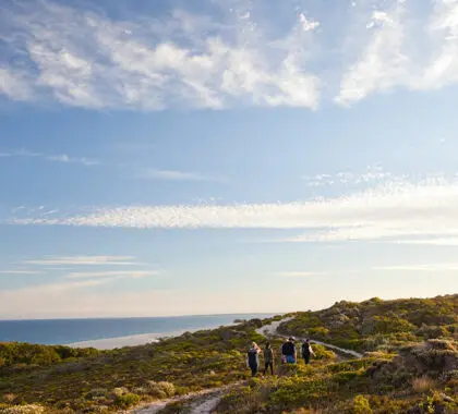 morukuru-ocean-house-fynbos