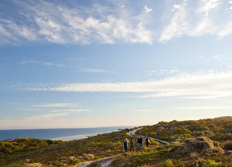 morukuru-ocean-house-fynbos
