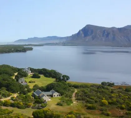 Mosaic Farm ligt op een rustige en schilderachtige locatie langs de Whale Coast.