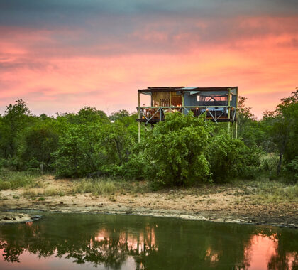 Situated within the Timbavati Nature Reserve.