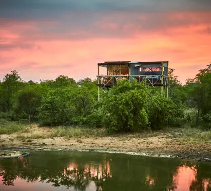 Situado en la Reserva Natural de Timbavati.