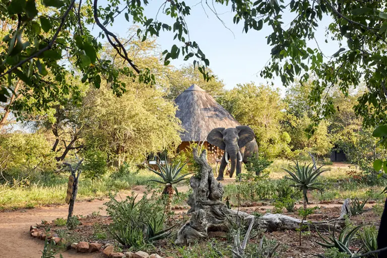 Surrounded by wildlife and beautiful scenery.