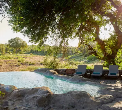 Tome el sol africano junto a la piscina.
