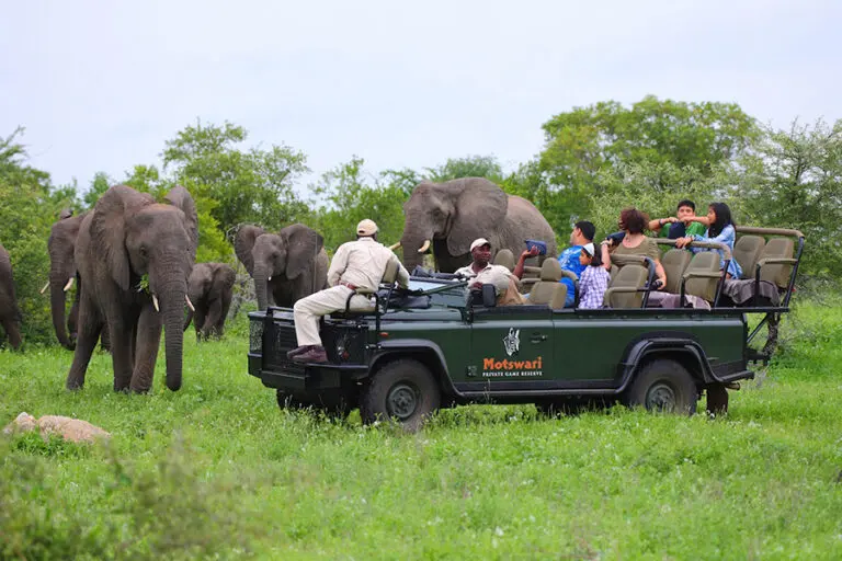 Daily game drives with a dedicated ranger.
