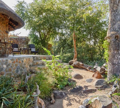 Situado en lo más profundo de la Reserva Natural Privada de Timbavati.