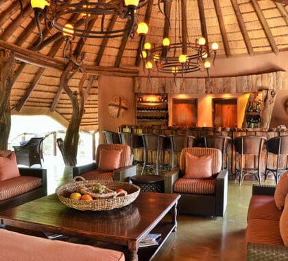 Motswiri-Private-Safari-Lodge-Bar