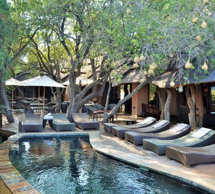 Motswiri-Private-Safari-Lodge-SwimmingPool