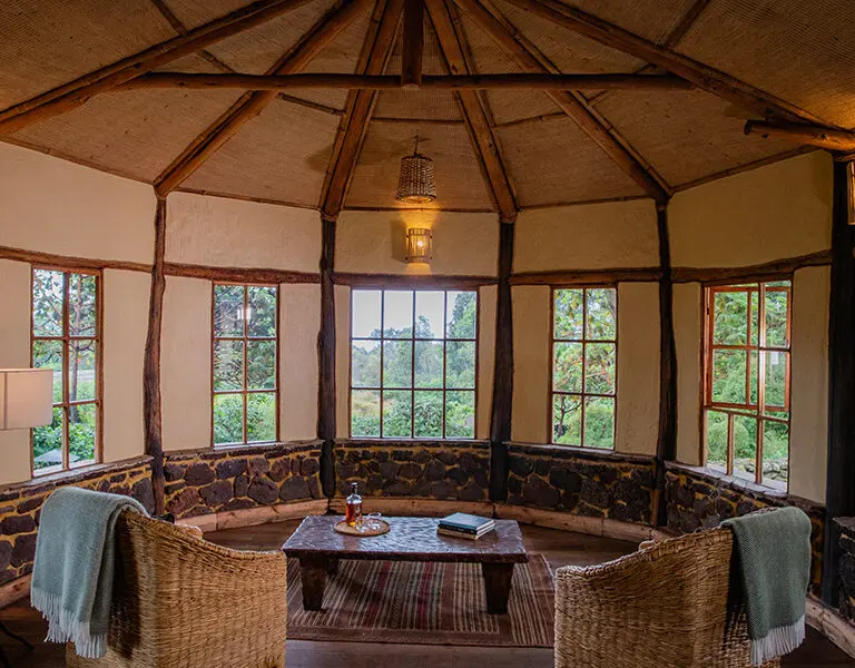 Relax in the sun room.