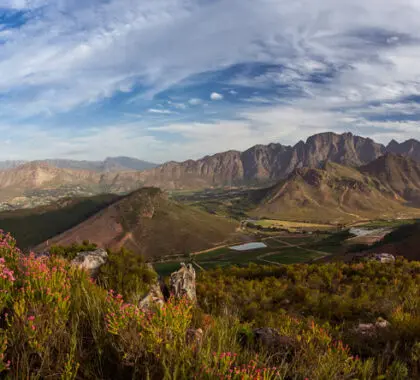 A Leeu Estate está localizada em Franschhoek - uma bela aldeia produtora de vinho nas Vinhas do Cabo.