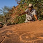 Contemple el arte rupestre de Twyfelfontein. 