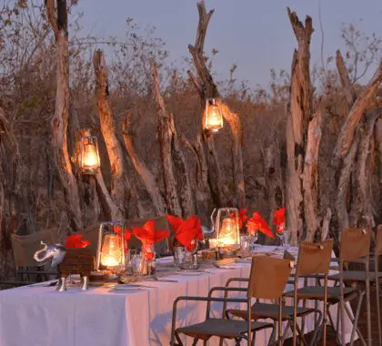 Meals at Muchenje are served against the backdrop of the Chobe River.
