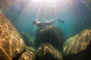 Practicar snorkel en el lago Malawi. 