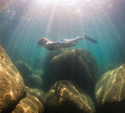 Practicar snorkel en el lago Malawi. 