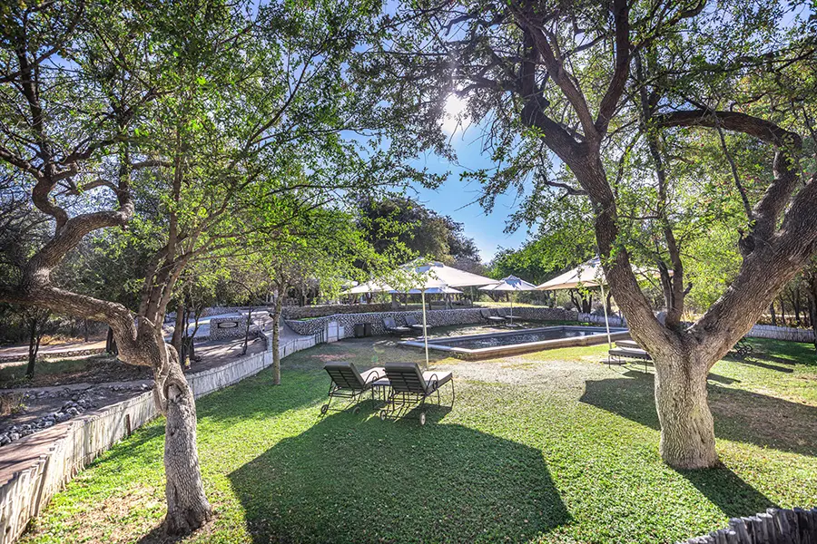 The garden and pool.