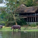 El lodge Mvuu está situado a una distancia perfecta del río, lo que permite disfrutar de unas vistas magníficas.