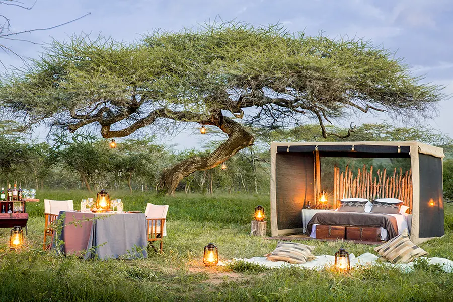 Fly camping at Mwiba Lodge.