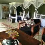 Some of the spacious tented suites are fitted with two double beds to accommodate families and friends.
