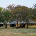 Wake up to the crisp, clean air and wide-open spaces of Tanzania's famed Serengeti National Park.
