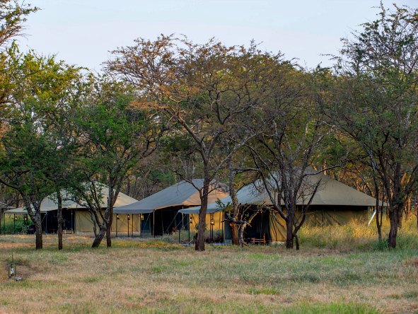 Wake up to the crisp, clean air and wide-open spaces of Tanzania's famed Serengeti National Park.
