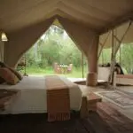 The tents are luxurious equipped and offer a stunning view.
