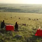 While having a bush meal enjoy the great view of the savannah.