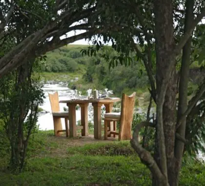 Disfrute de un rato a solas con alguien especial en un lugar sombreado del río.