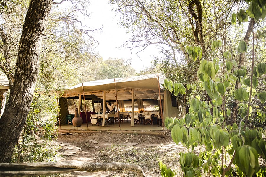 Enjoy lunch surrounded by wilderness. 